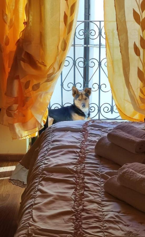 La Casetta Della Nonna كارامانيكو تيرمي المظهر الخارجي الصورة